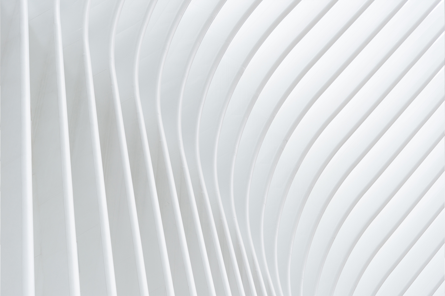 Abstract composition of evenly spaced white curved vertical lines.