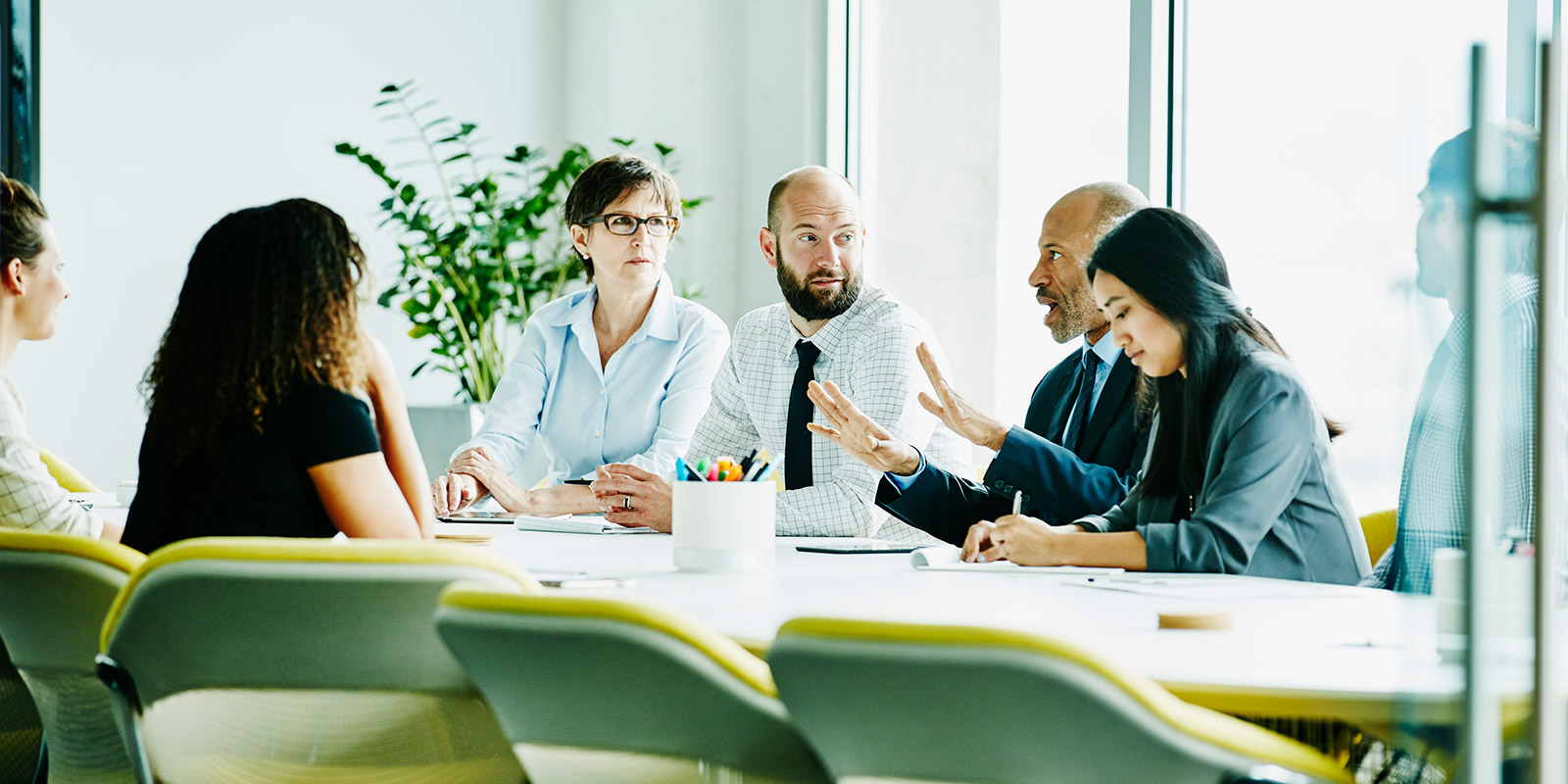 Group of people in discussion around a conference table with large windows and indoor plants in the background.