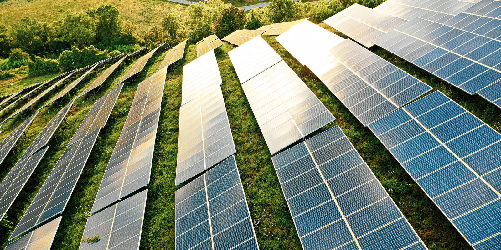 Rows of solar panels on a grassy field with trees in the background.