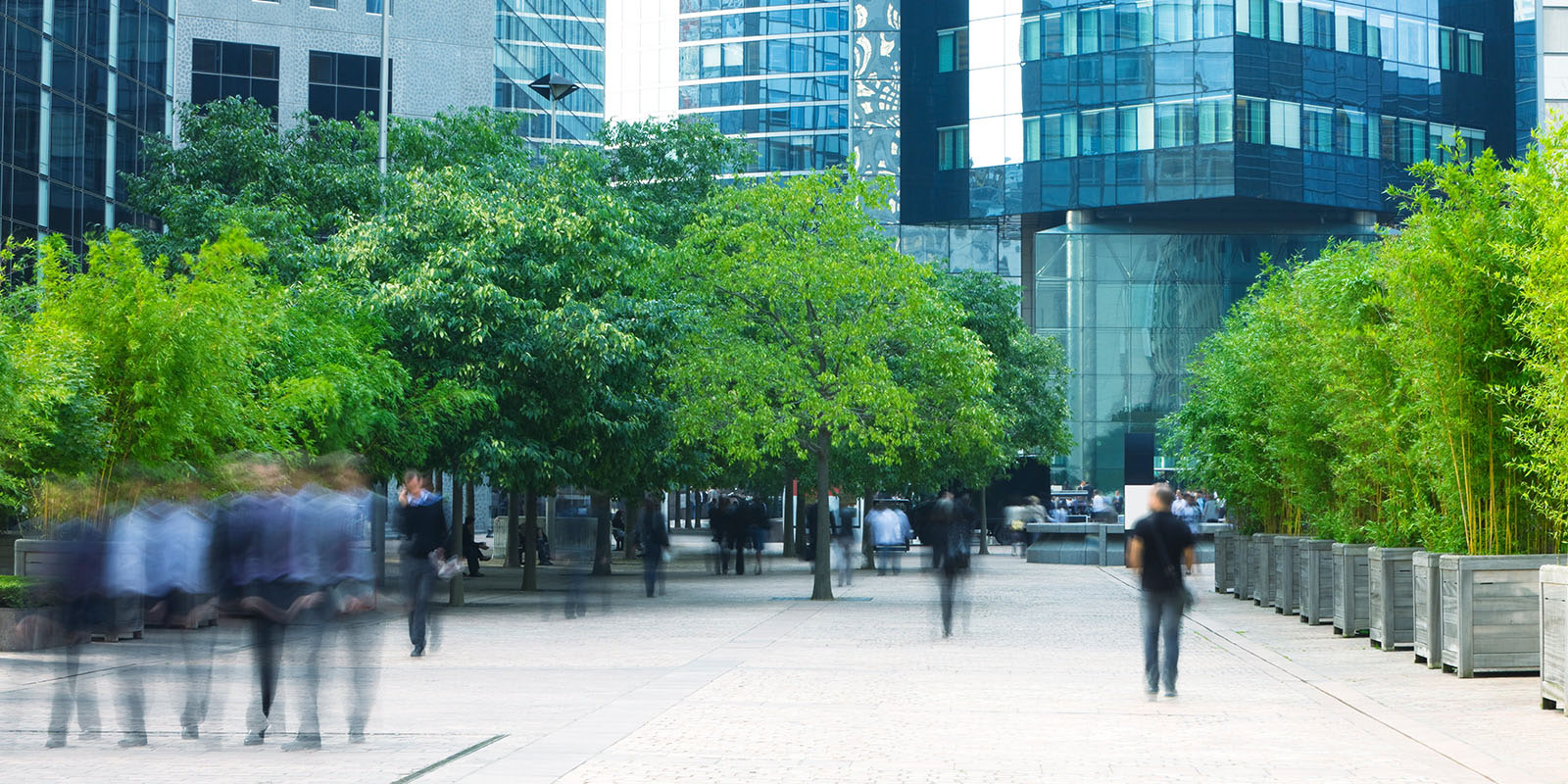 Tree-lined urban path with blurred figures walking and modern glass buildings in the background.