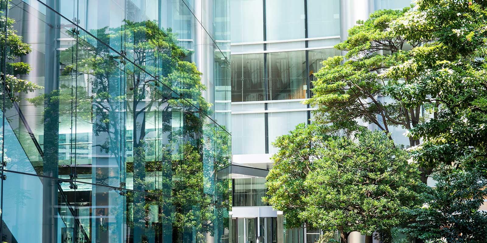 Modern building with large glass windows reflecting nearby trees and greenery.