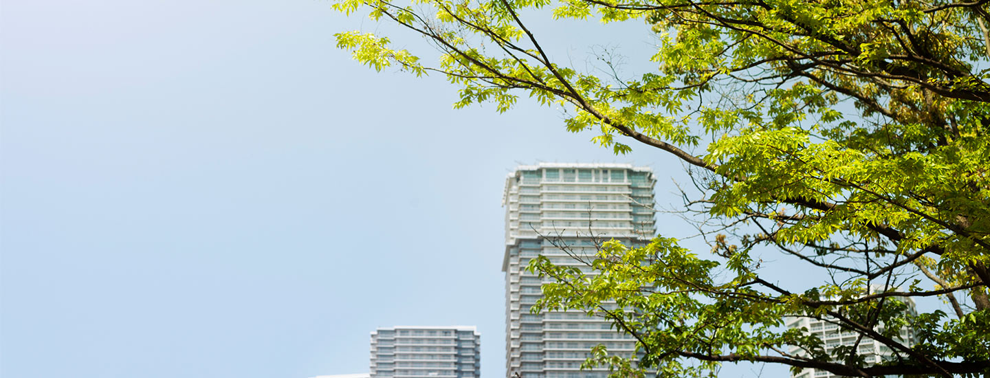 High-rise buildings under clear sky with tree branches in foreground.