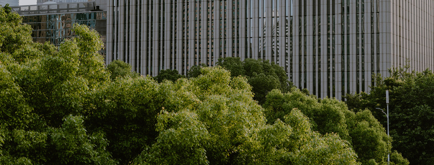 Cityscape with modern tall buildings in the background and green trees in the foreground.