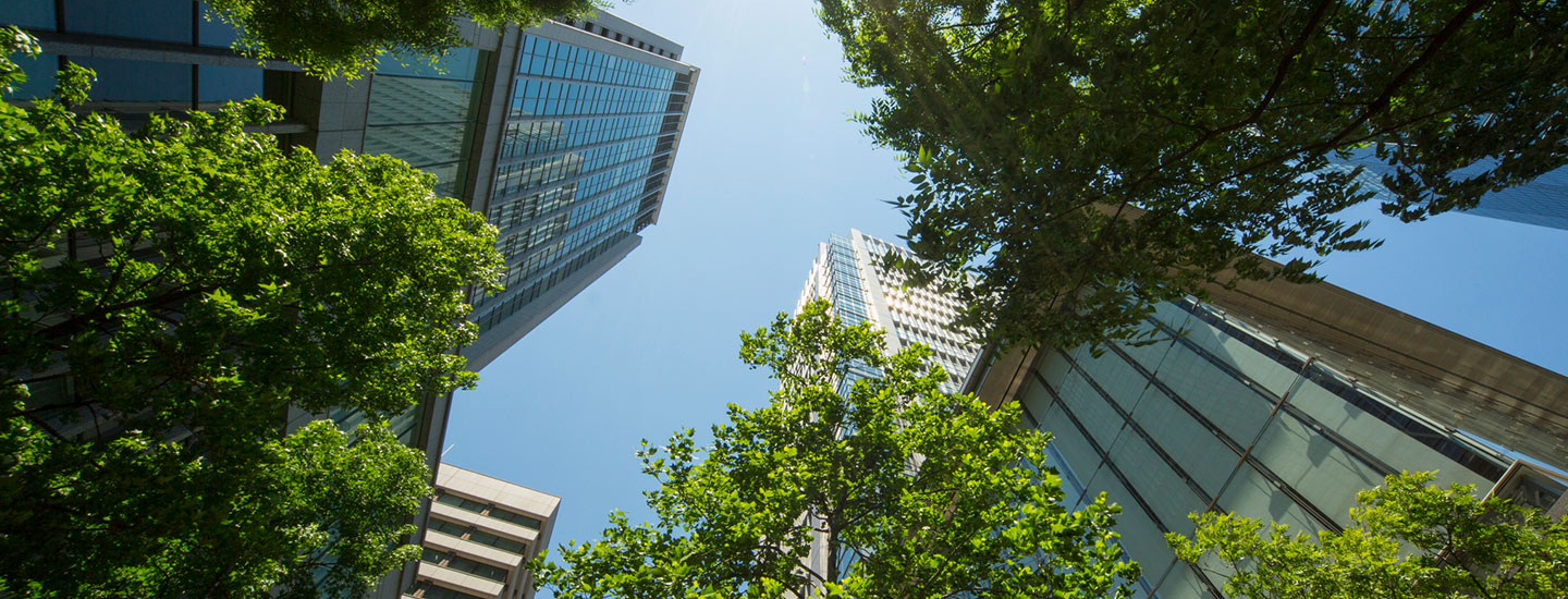 Upward view of tall glass buildings framed by green trees under a clear blue sky.