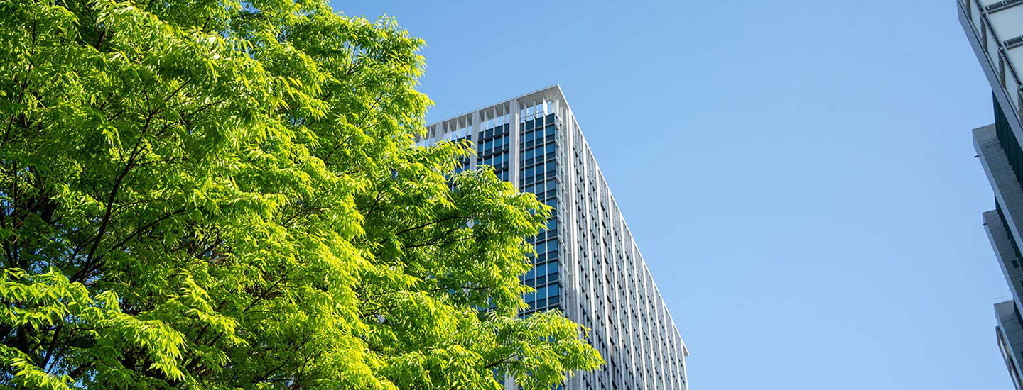 Modern tall building partially obscured by green tree foliage, under a clear blue sky.