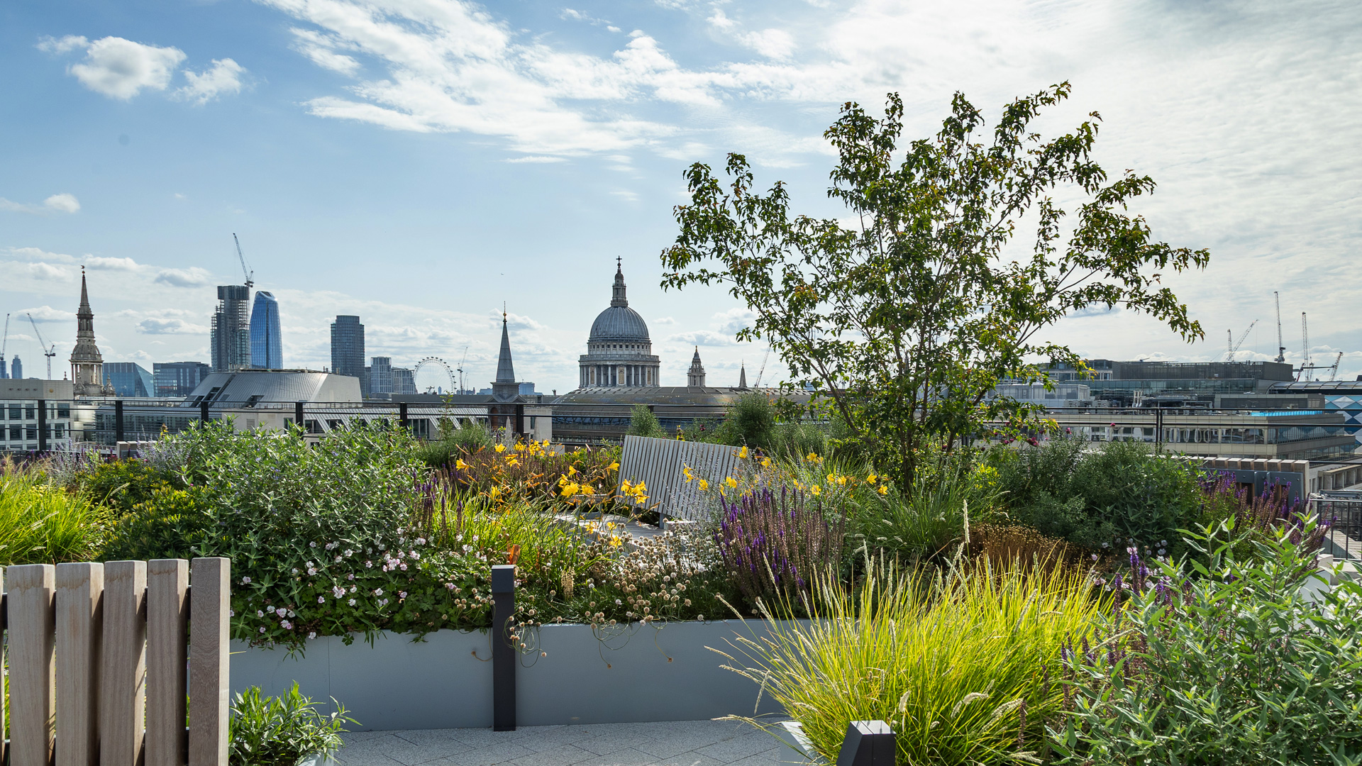 Terrace view of DAC Beachcroft's Woolgate office with a view of St Pauls Cathedral